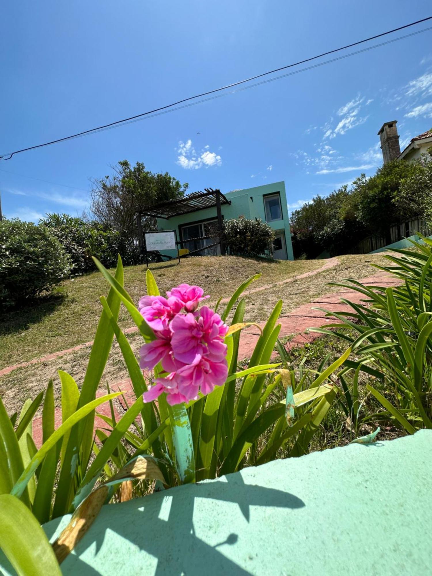 פונטה דל אסטה Hotel Beach La Barra מראה חיצוני תמונה